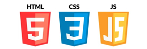 Website Development Jaipur