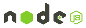 Website Development Jaipur